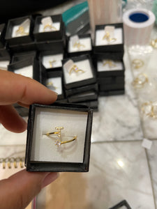Initial rings