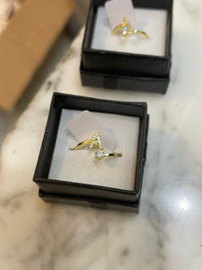 Initial rings